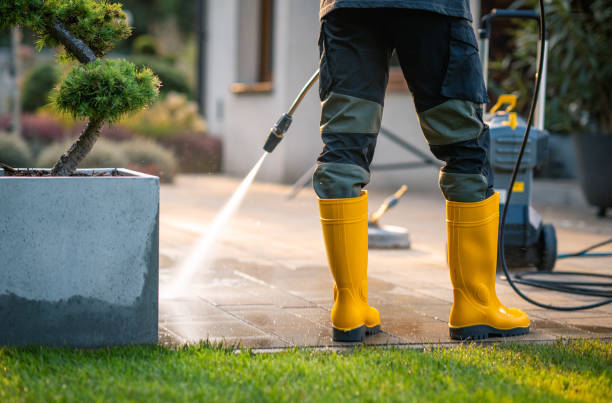 Professional  Pressure Washing in Somonauk, IL